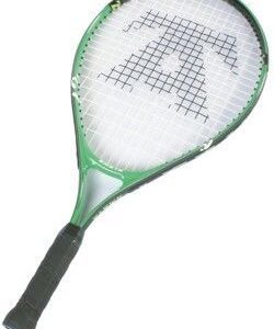 Tenis