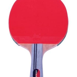 Raqueta tenis de mesa M3002