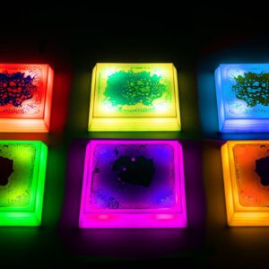 Bases Cuadradas con Líquido e Iluminación LED – Set de 6