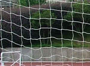 Red    Futbol 7.
