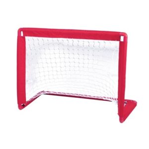Porteria de Hockey